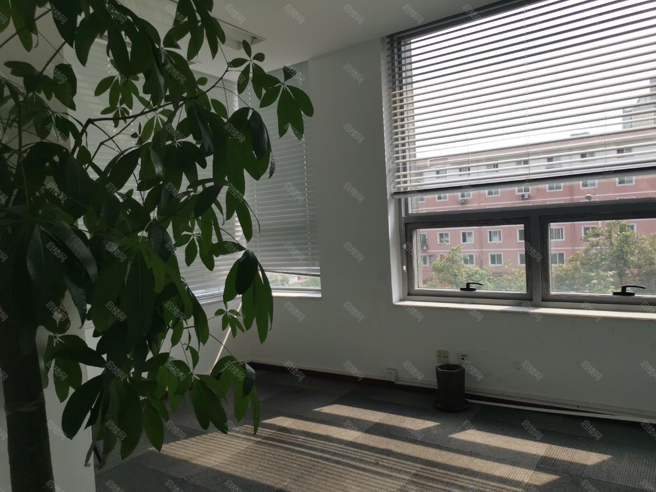 实拍图