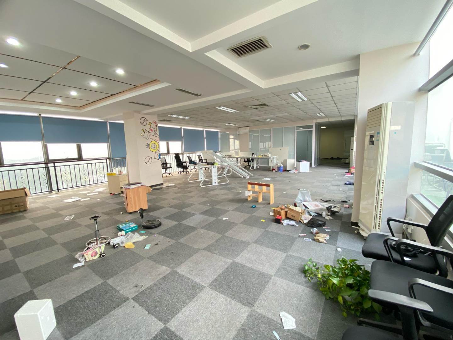 实拍图