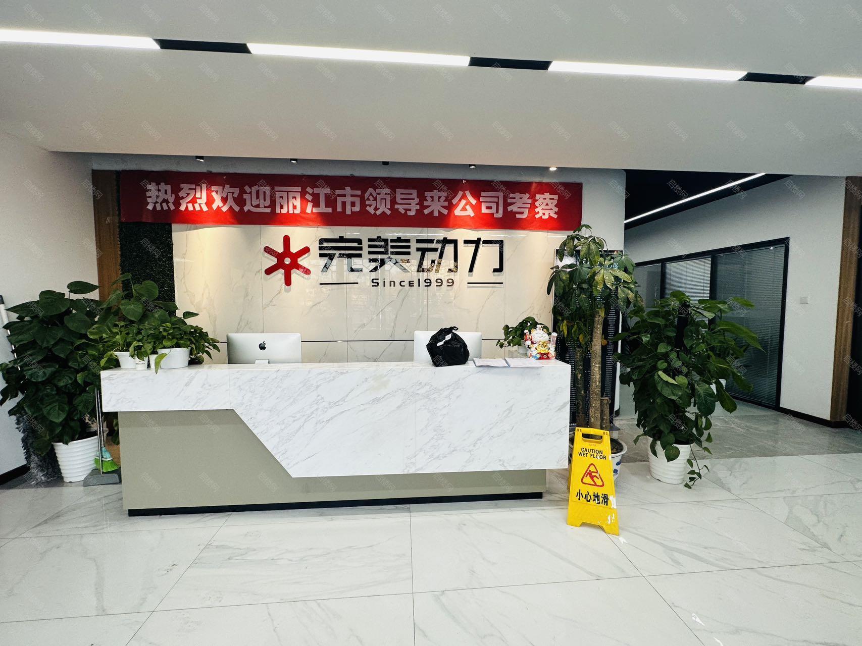 实拍图
