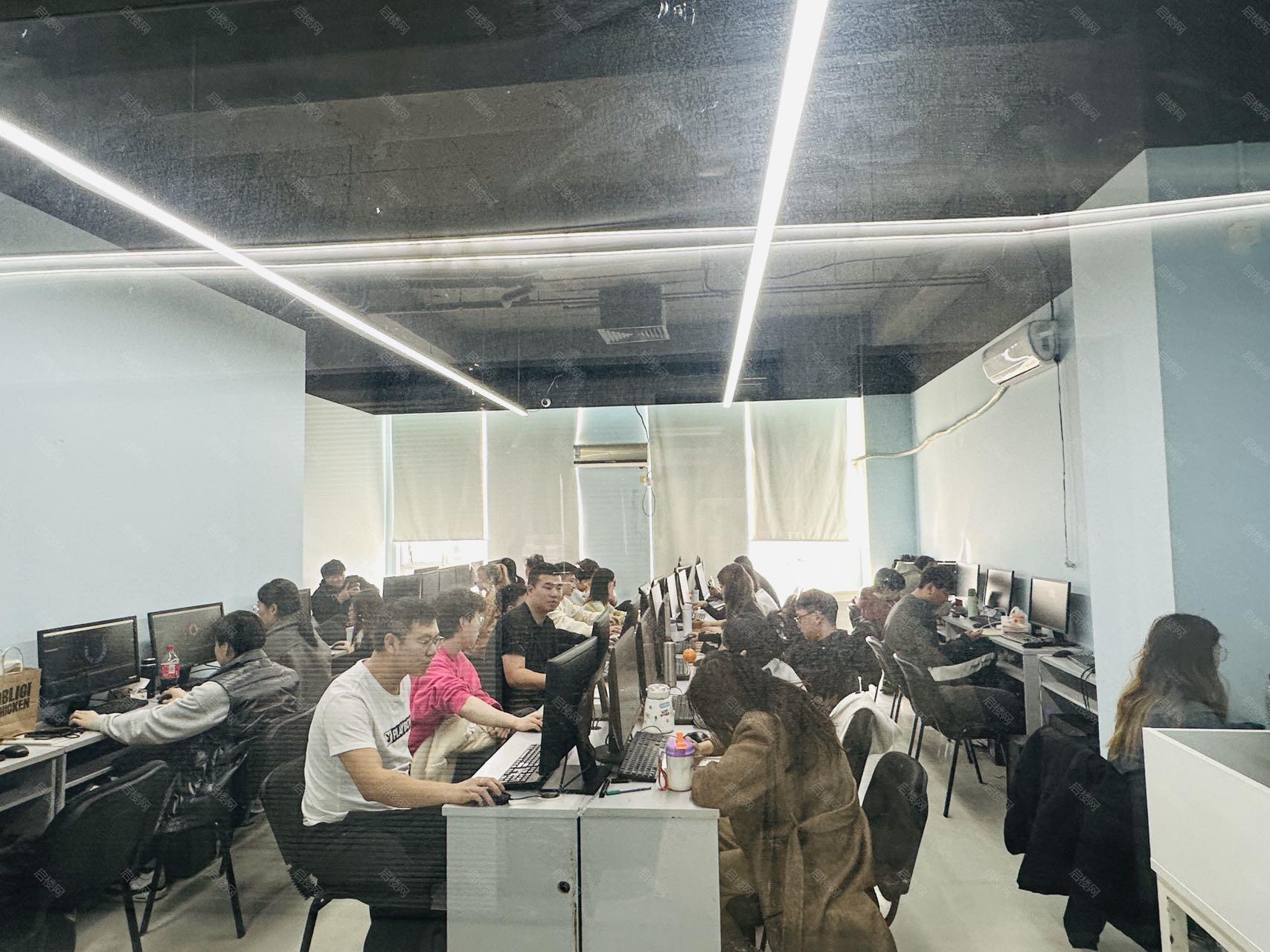 实拍图