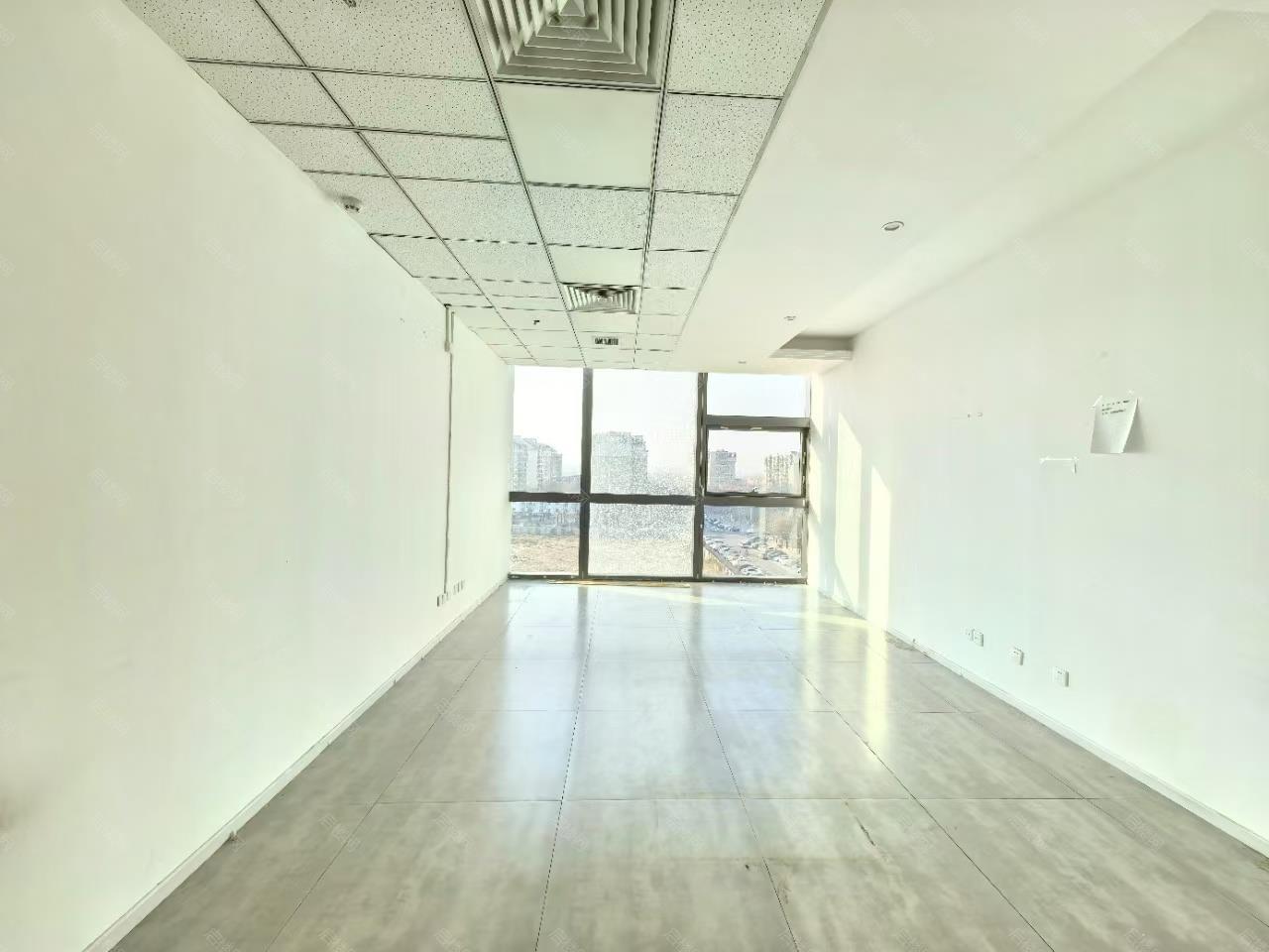 实拍图