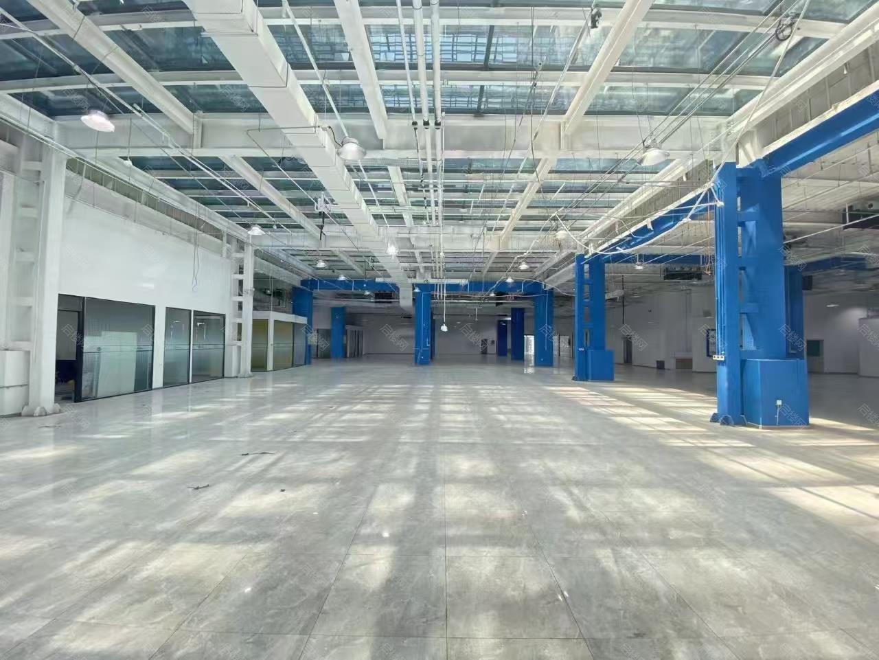 实拍图