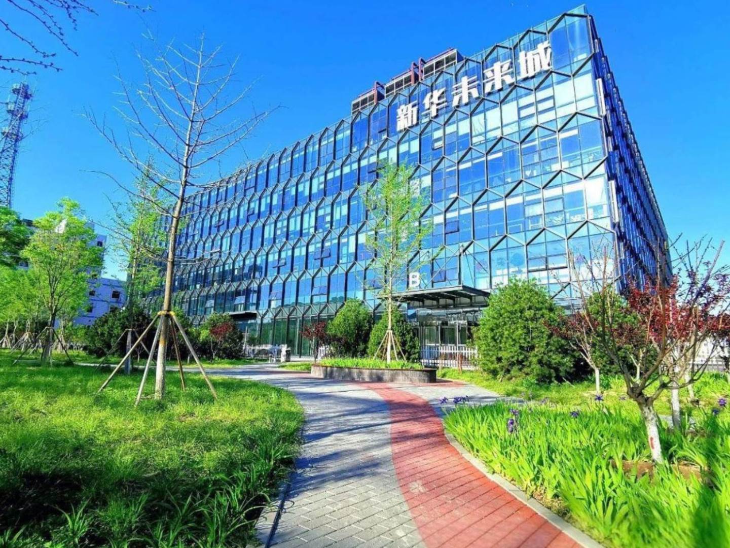 实景图