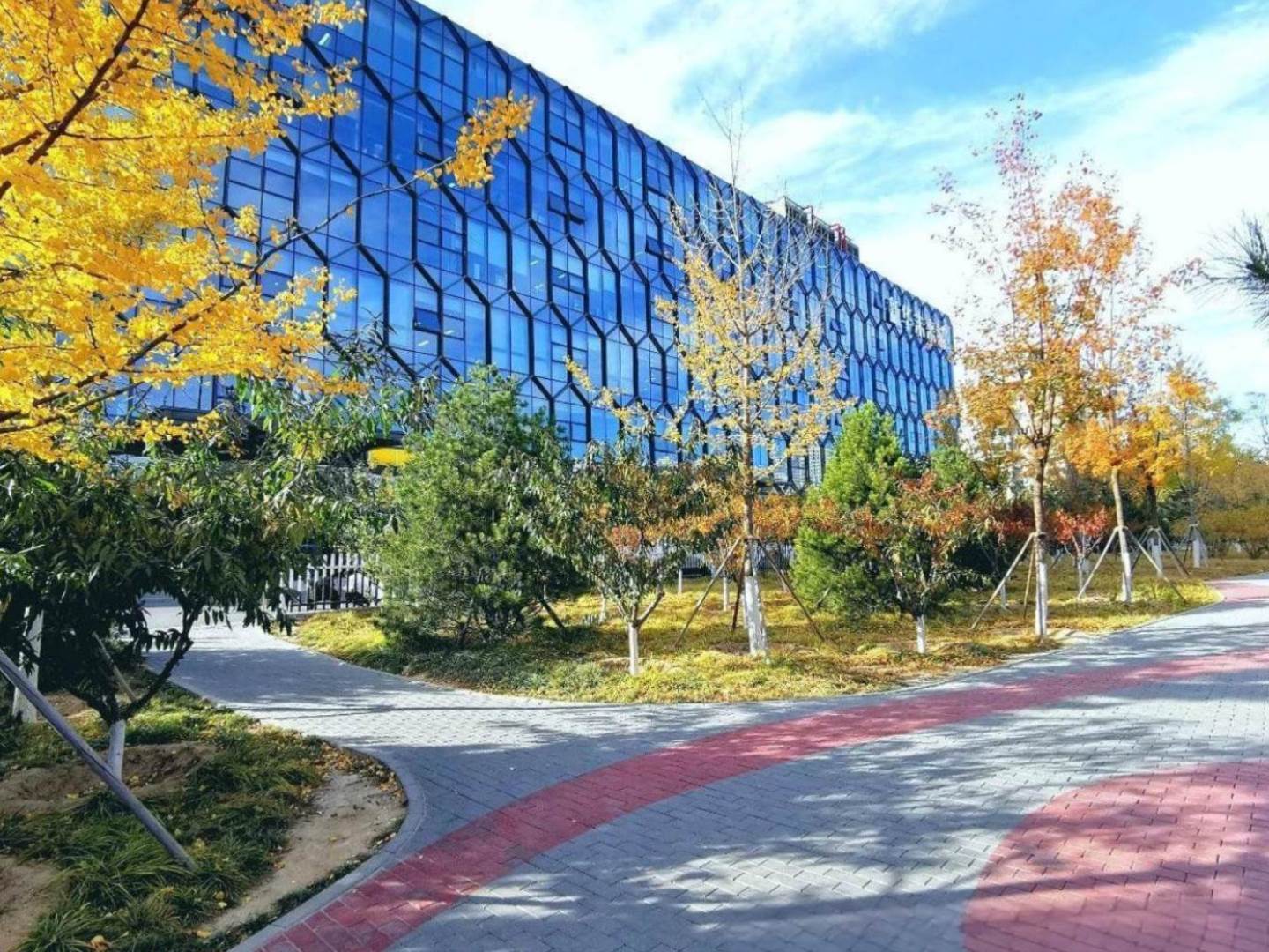 实景图