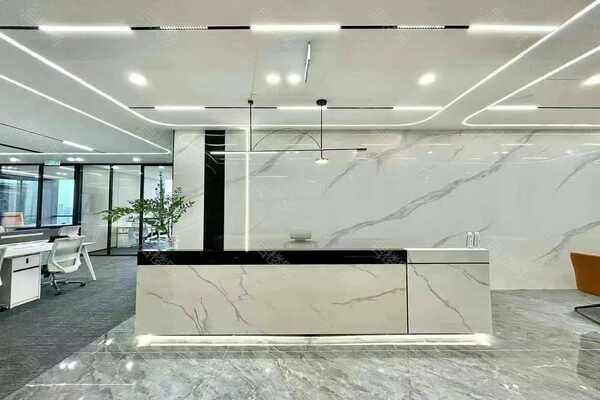 龙湖清能·武汉101