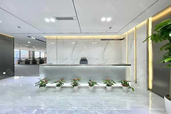 龙湖清能·武汉101