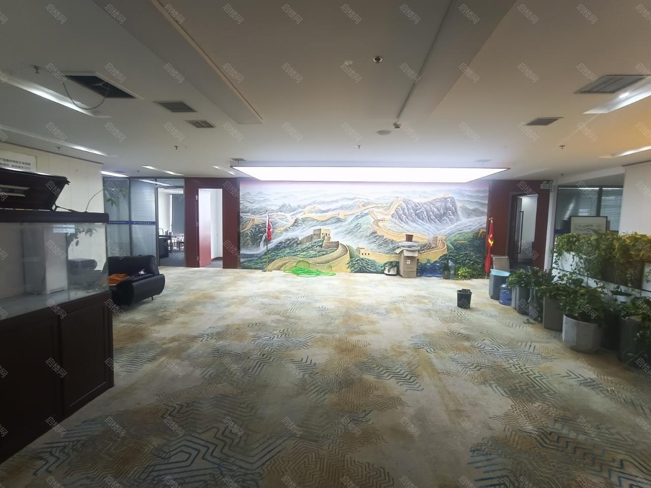 实拍图