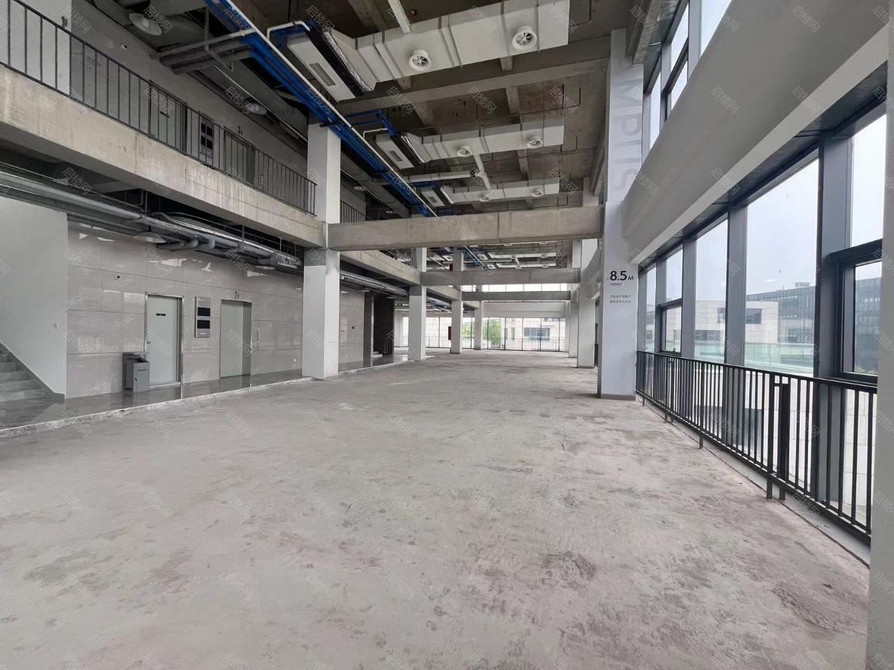 实拍图