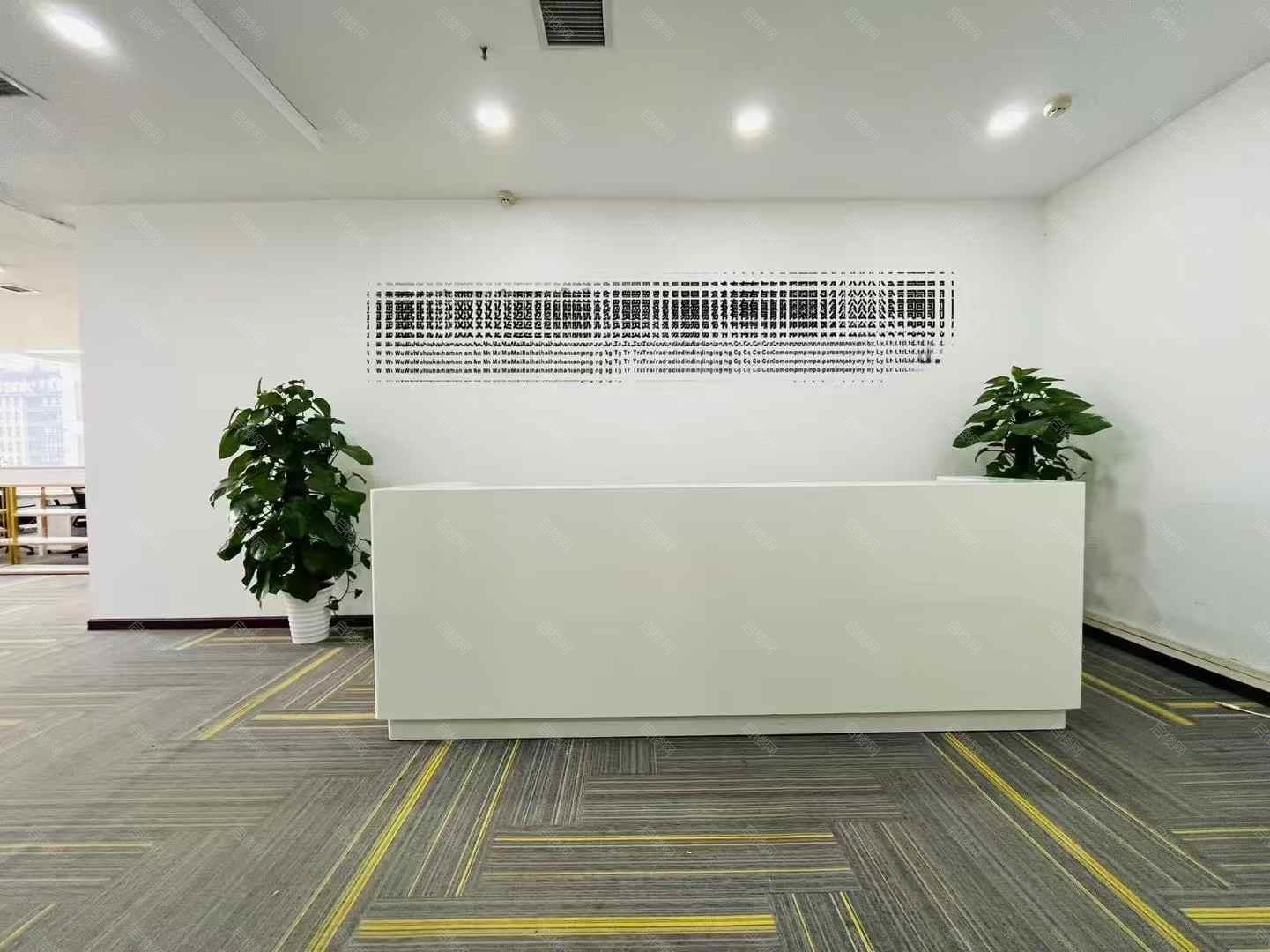 实拍图