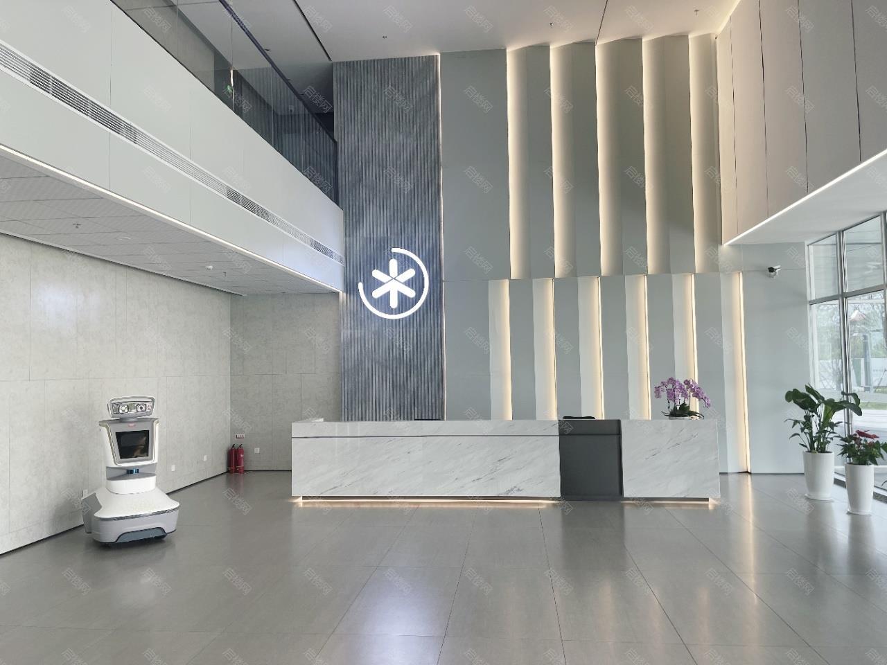 实拍图