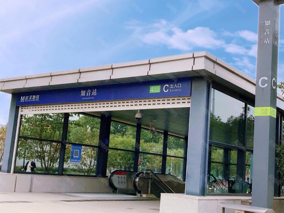 实拍图