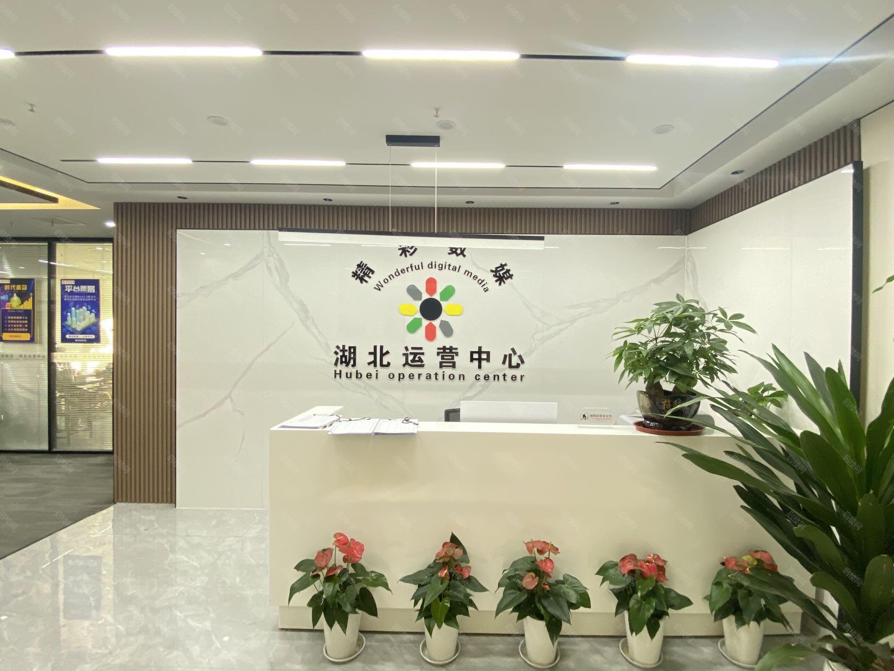 实拍图