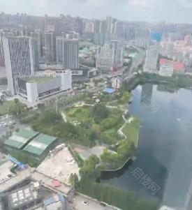 实拍图