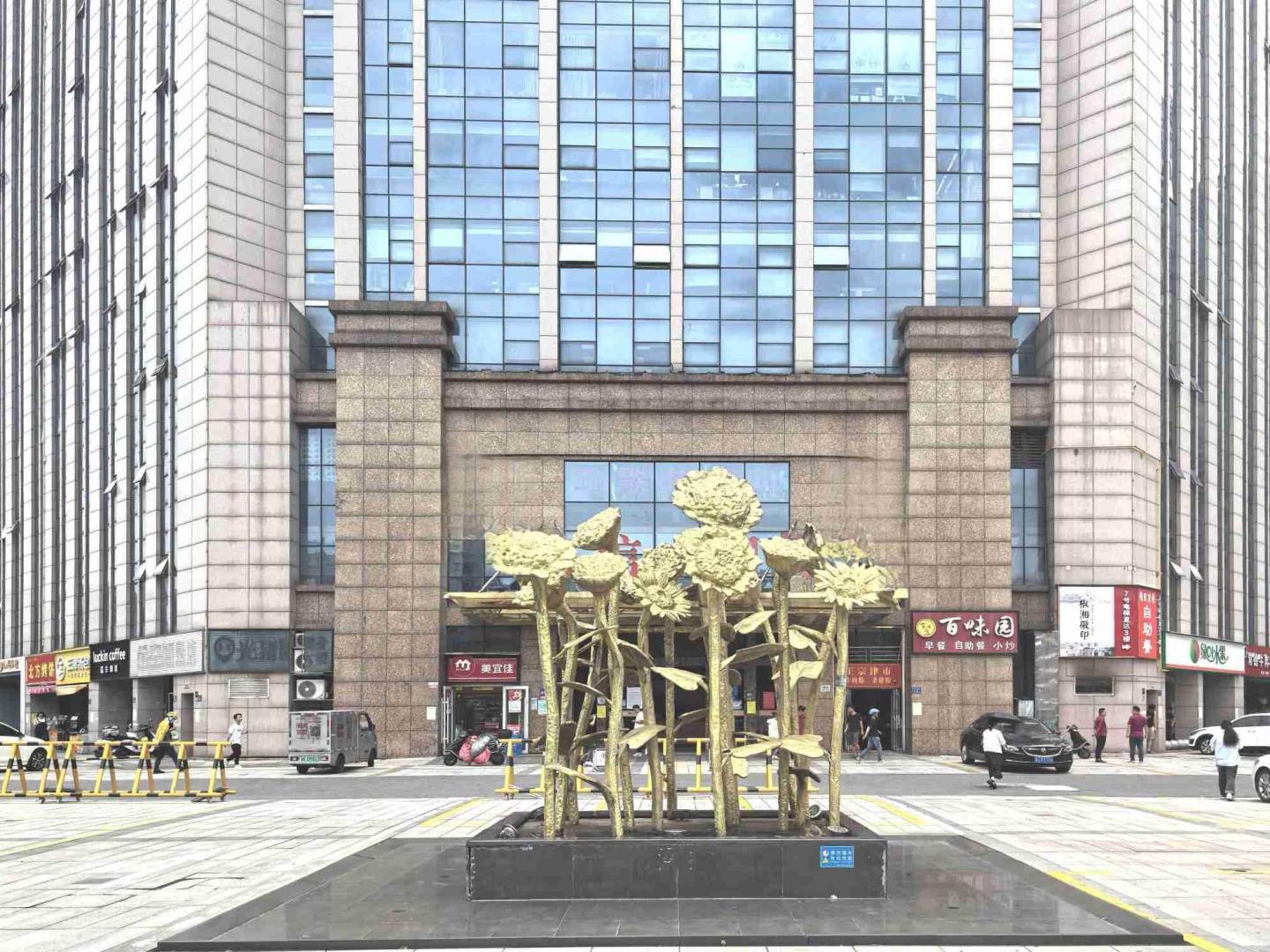 实景图