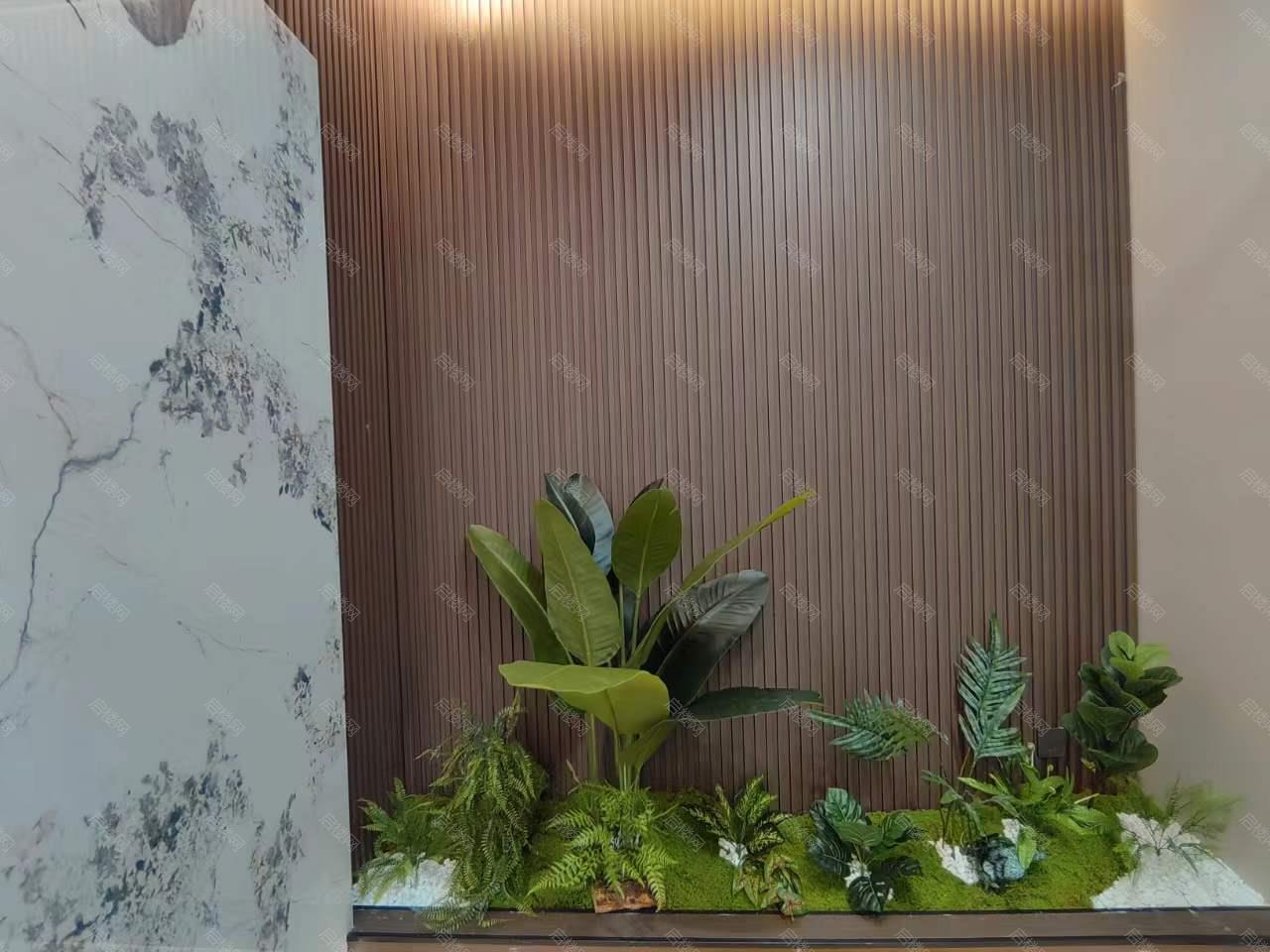 实拍图