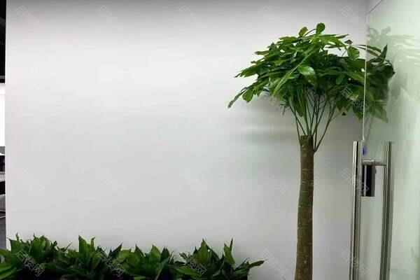 楚天都市花园