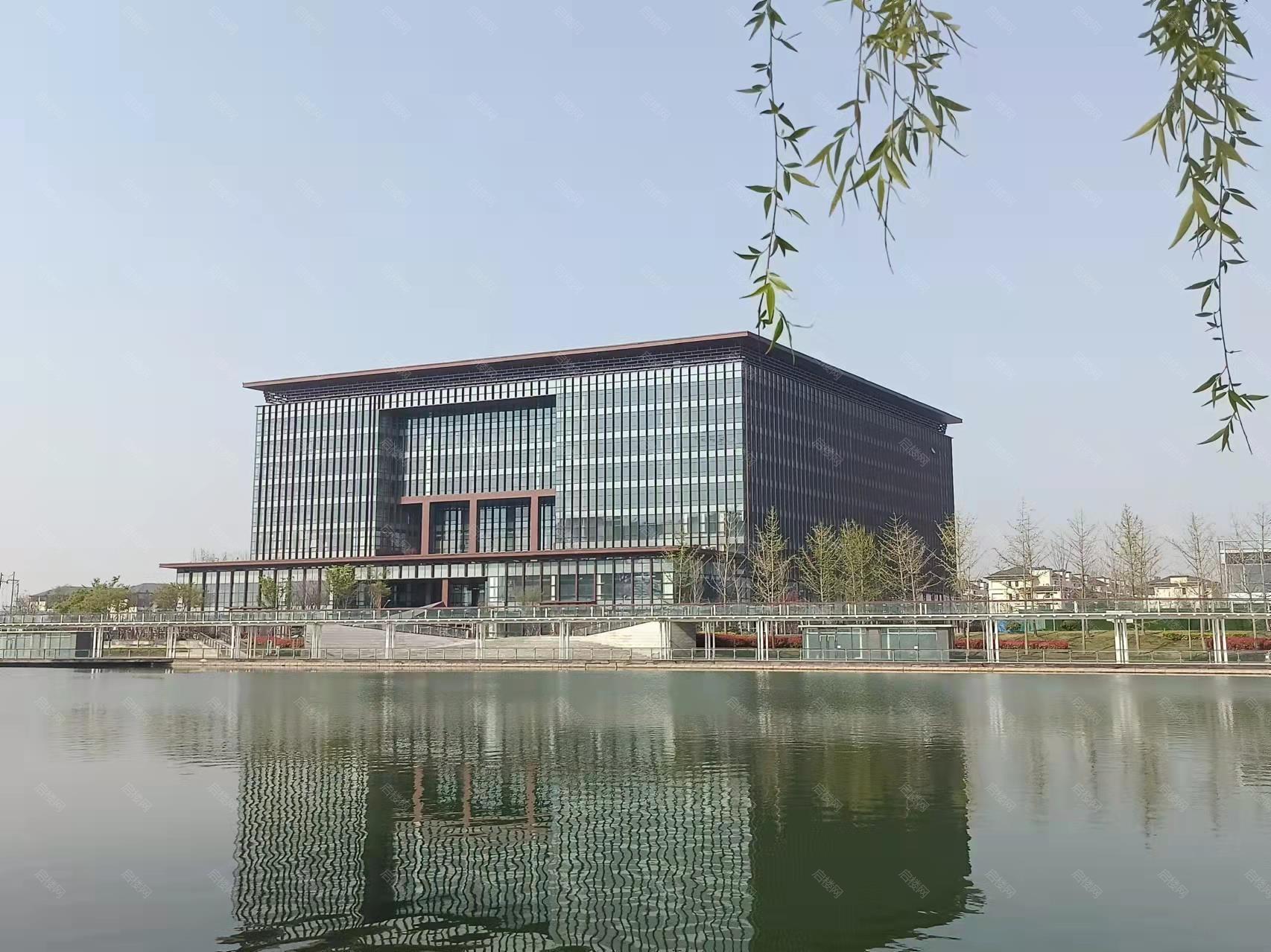 实拍图