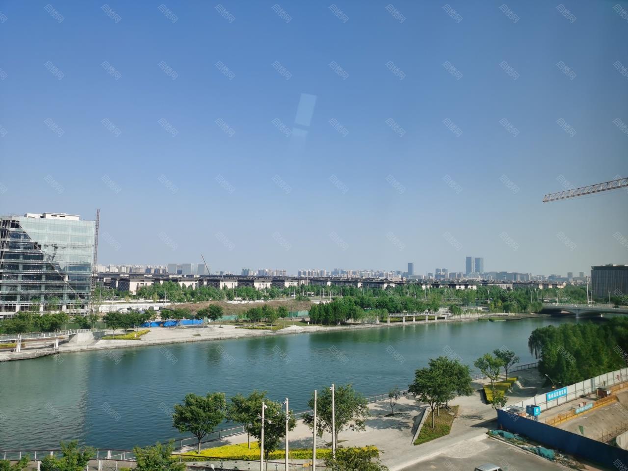 实拍图