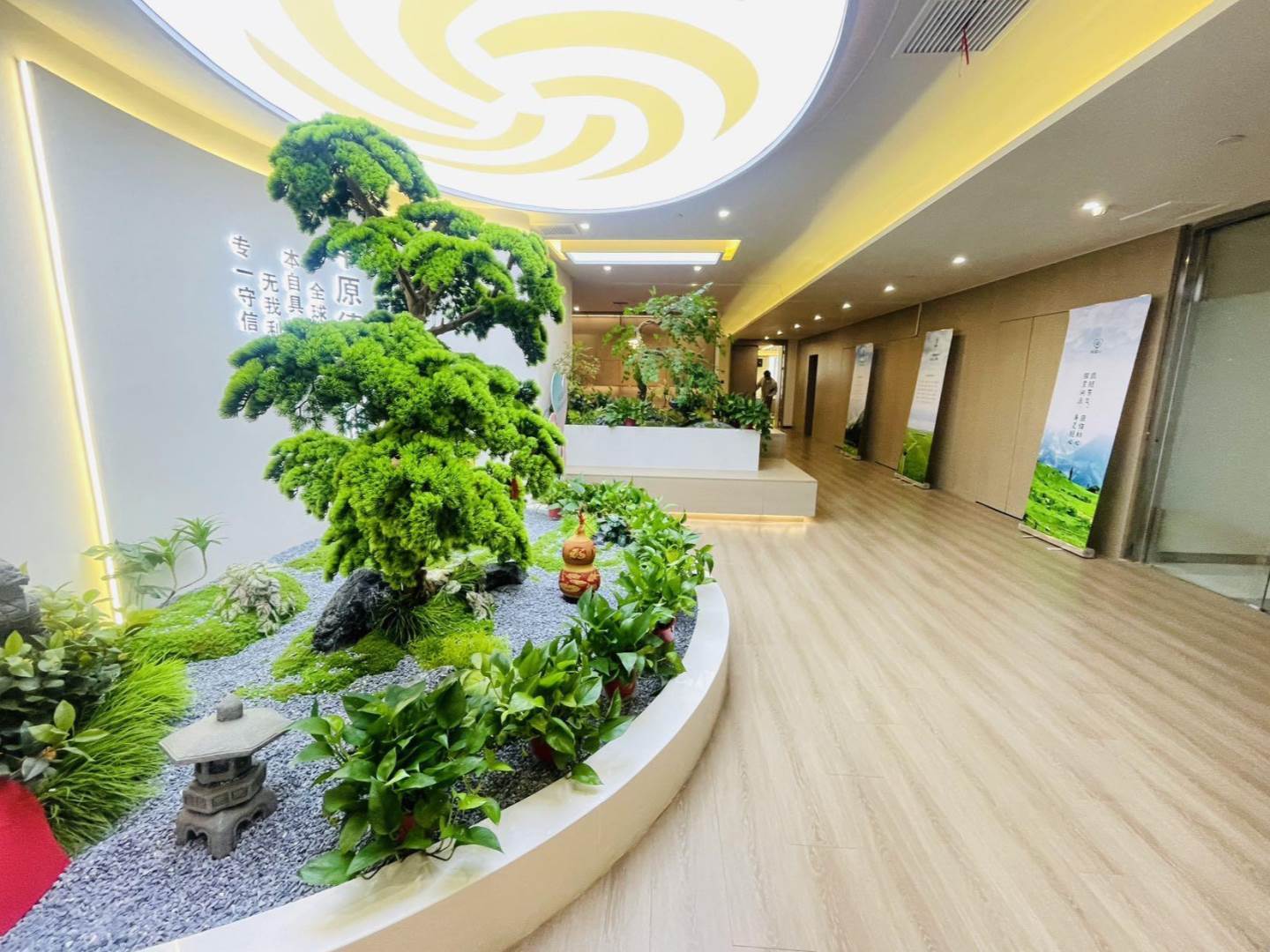 实拍图