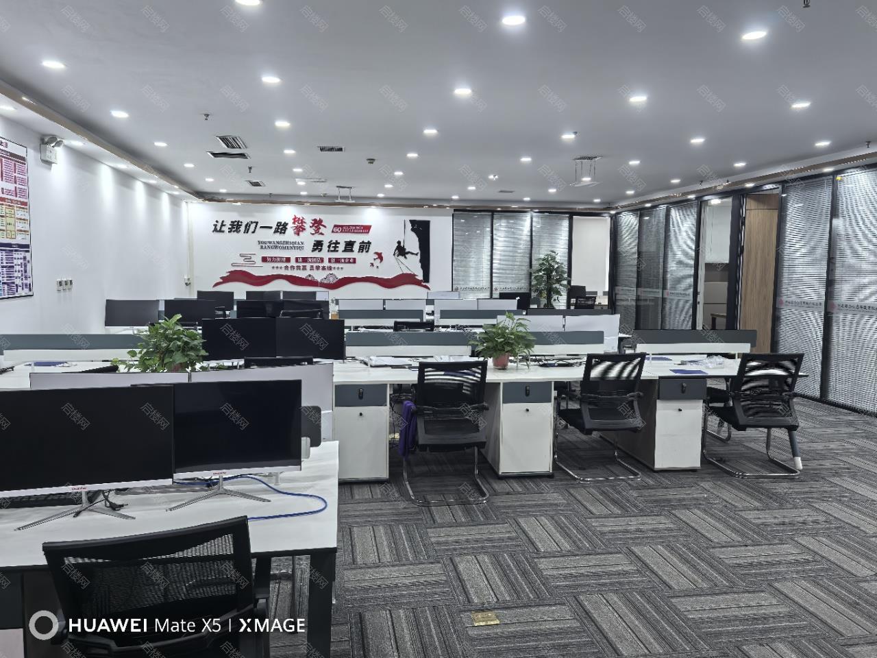 实拍图