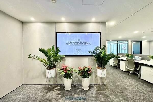 深圳湾1号
