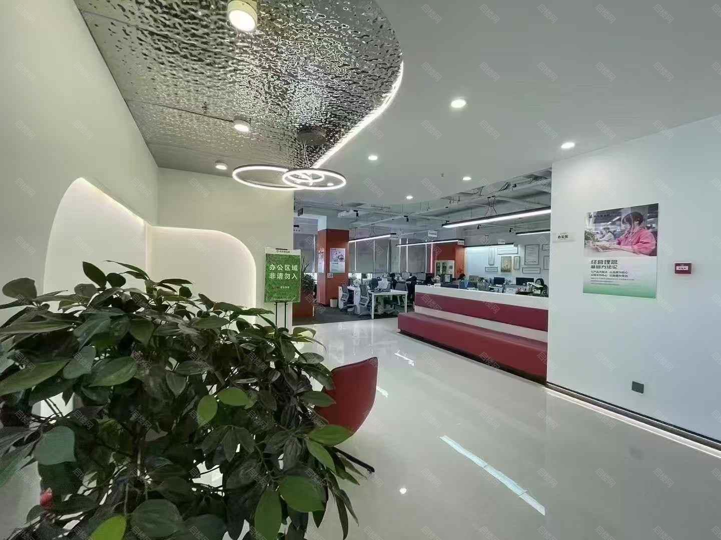 实拍图