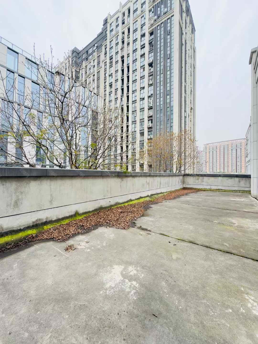 实拍图
