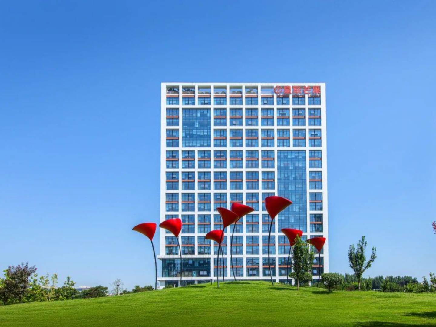 实景图