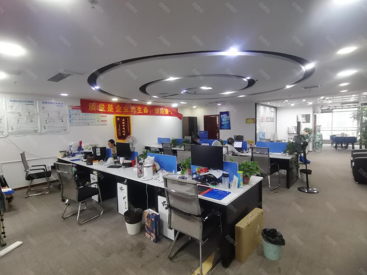 实拍图