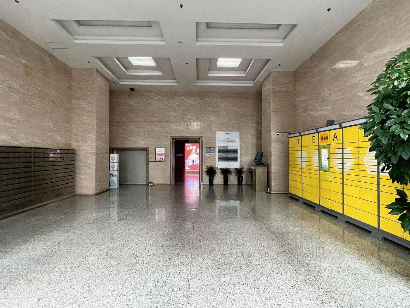 实景图