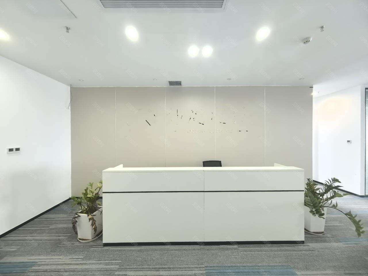 实拍图