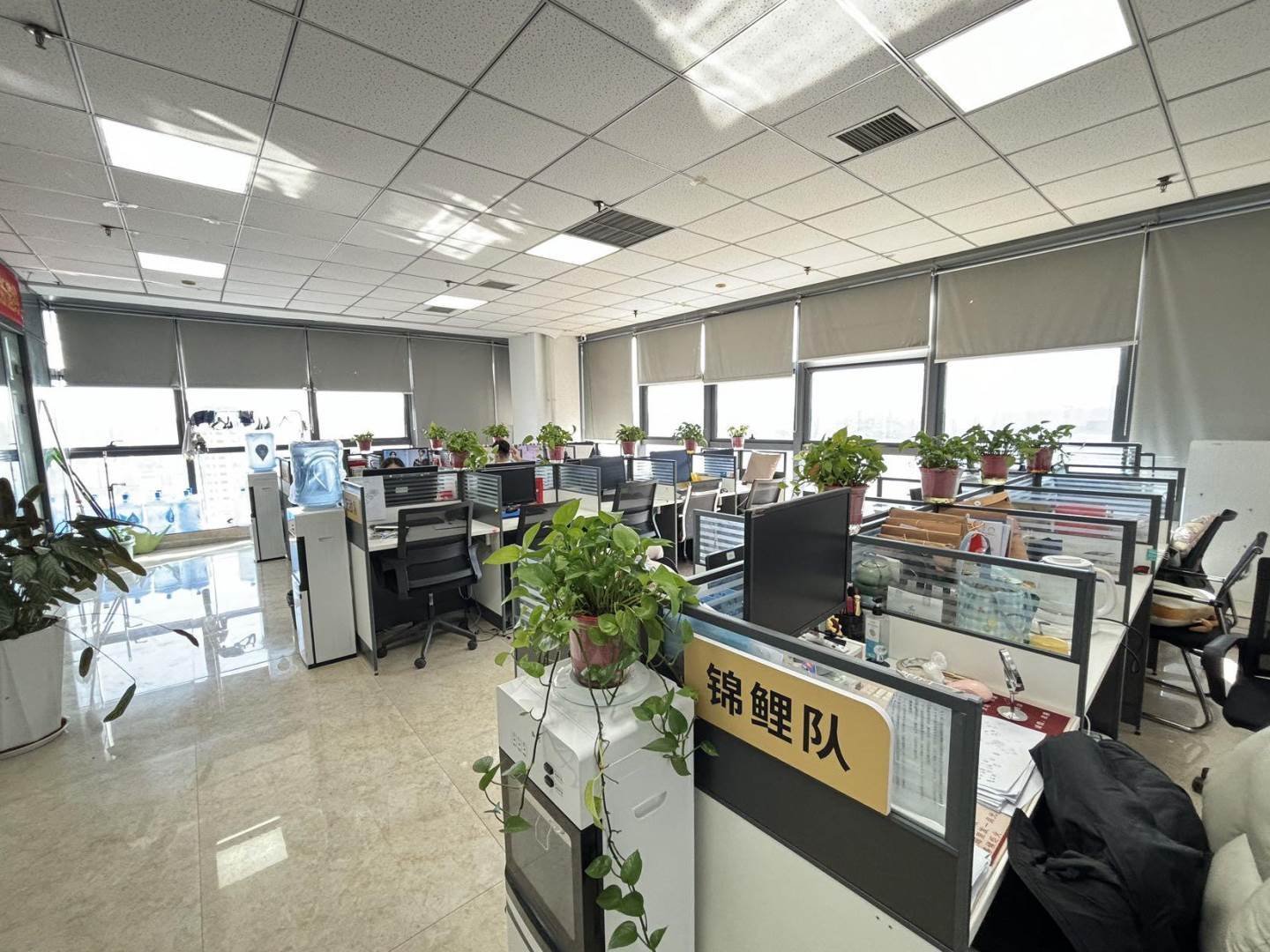 实拍图
