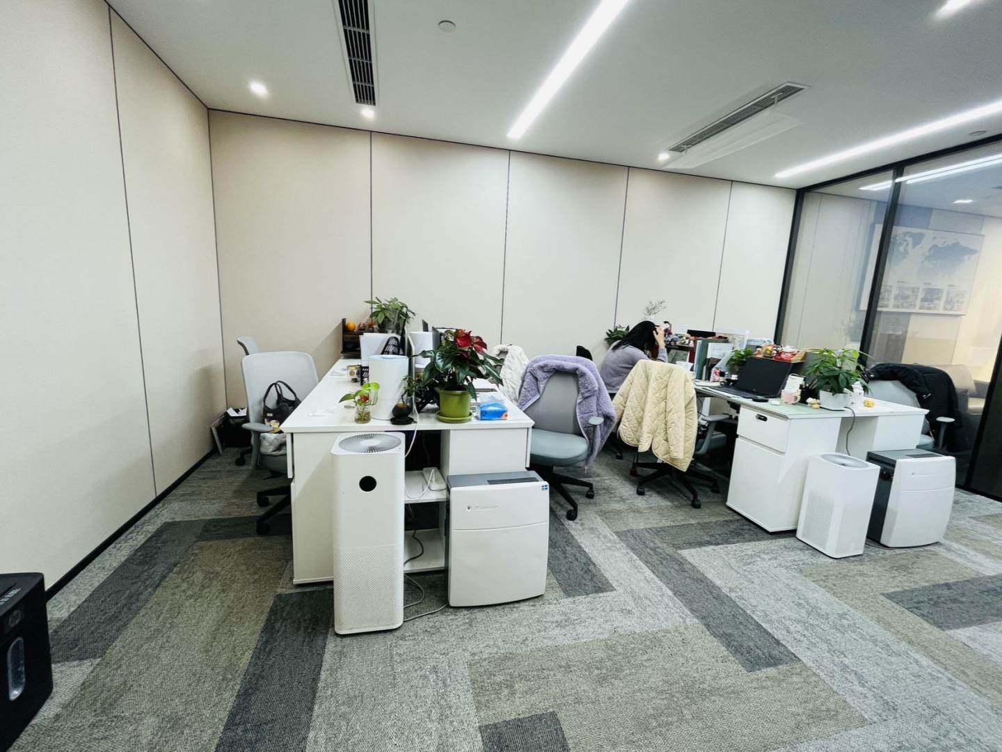 实拍图