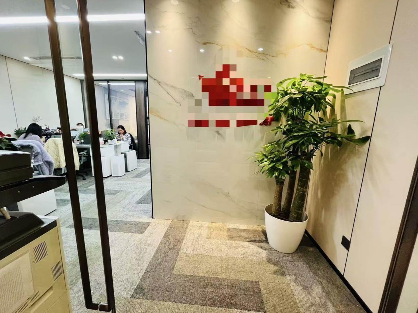 实拍图
