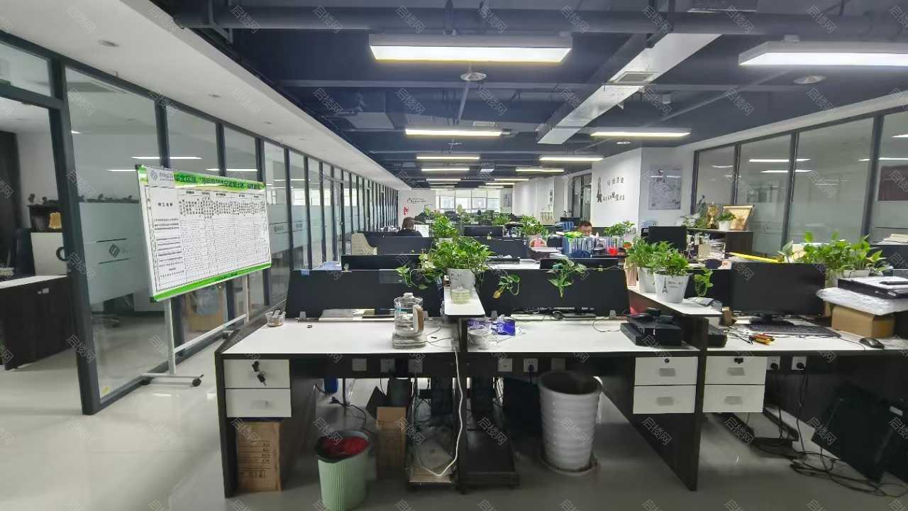 实拍图