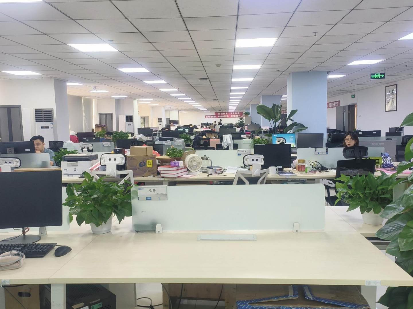 实拍图