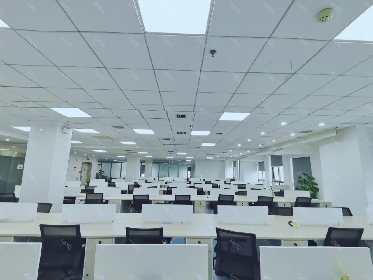 实拍图