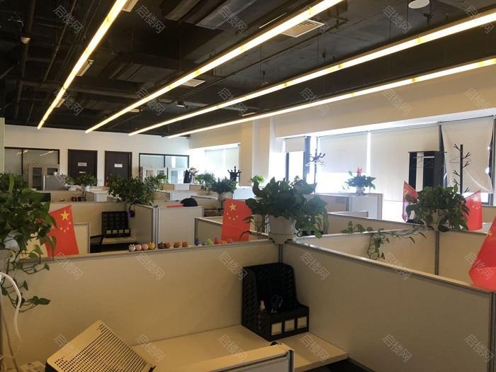 实拍图