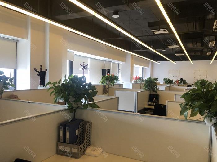 实拍图