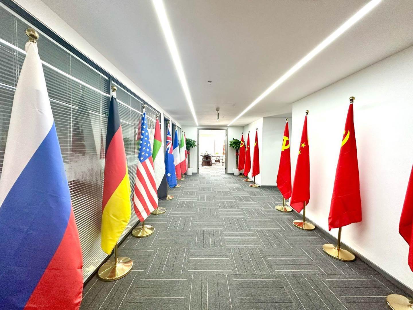 实拍图