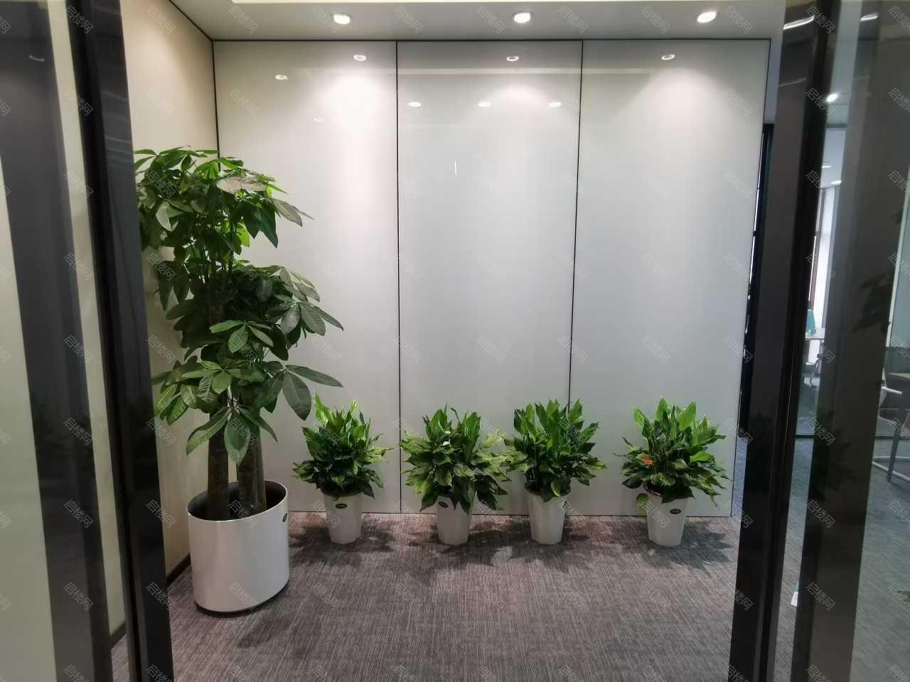 实拍图