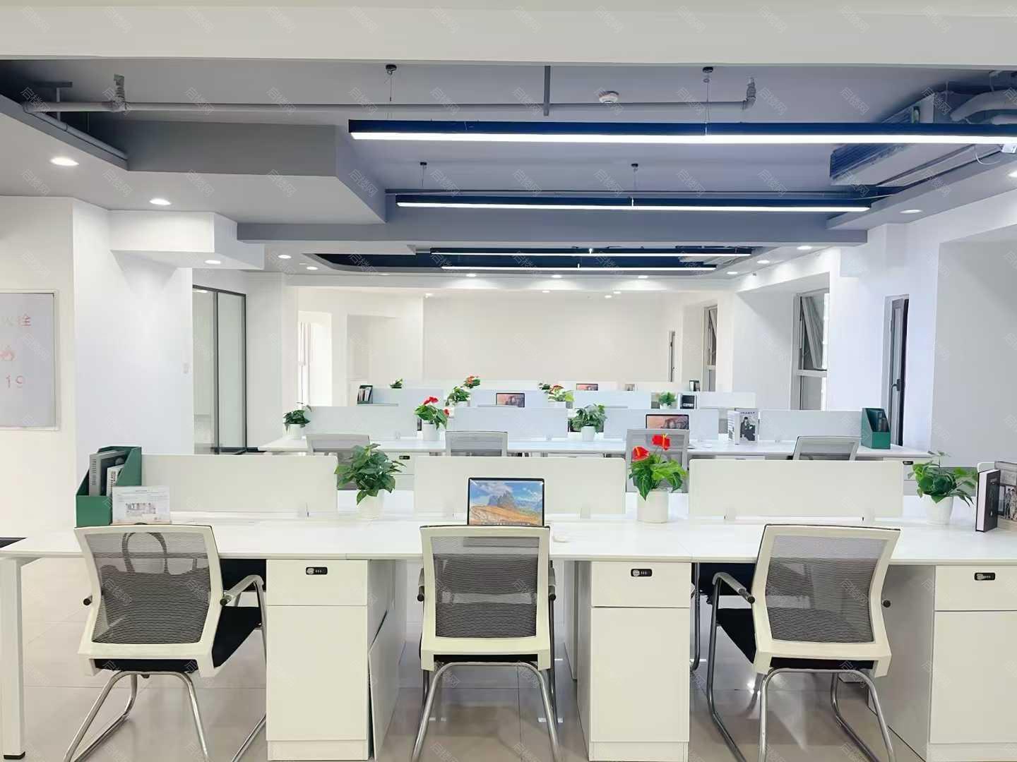 实拍图