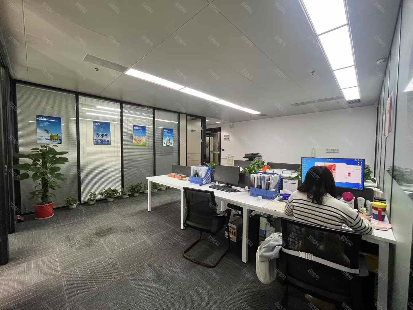 实拍图