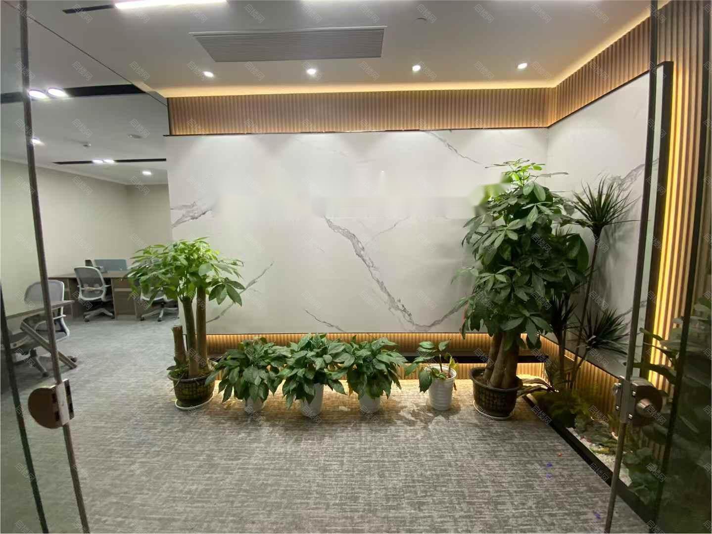 实拍图