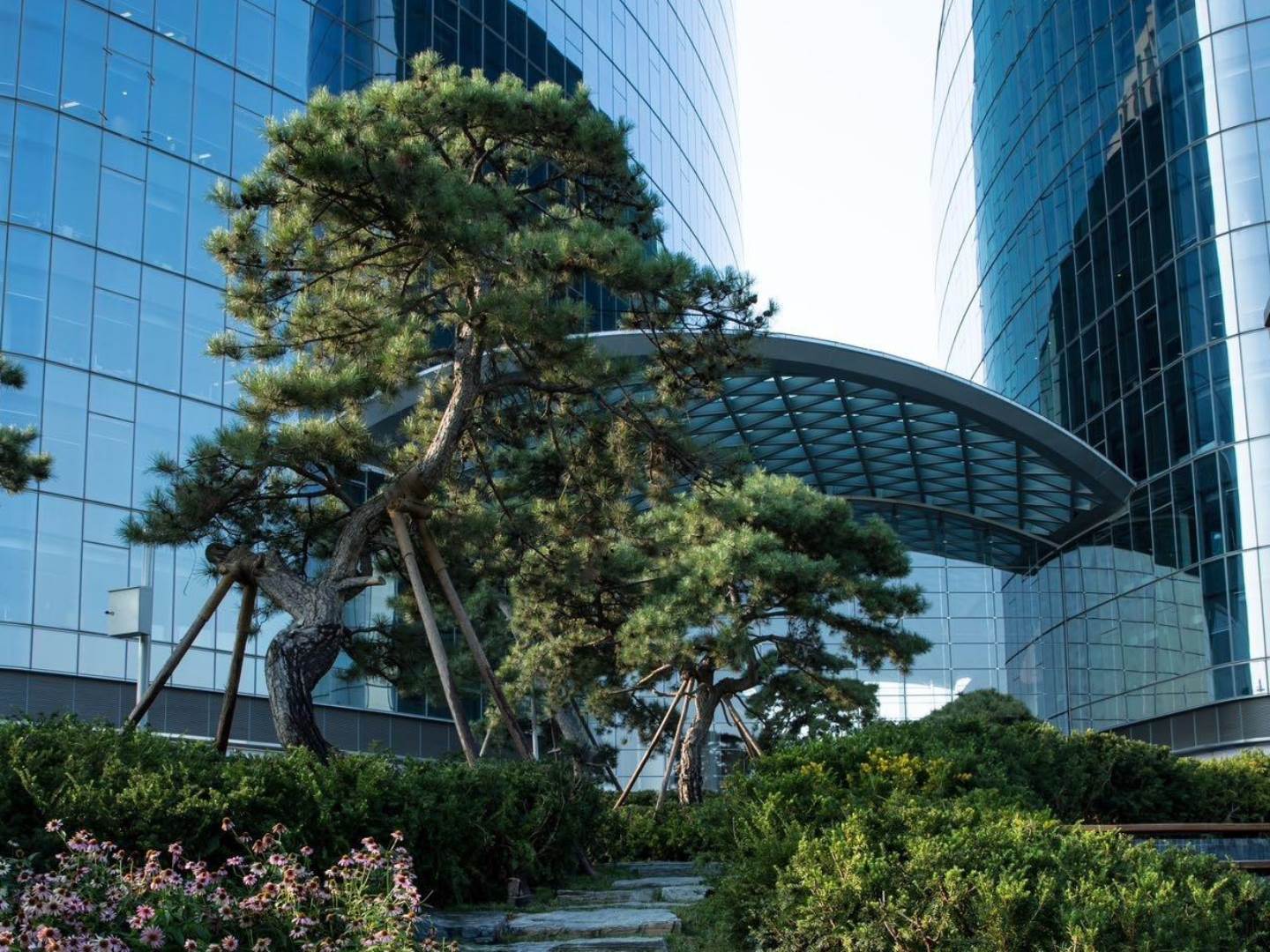 实景图