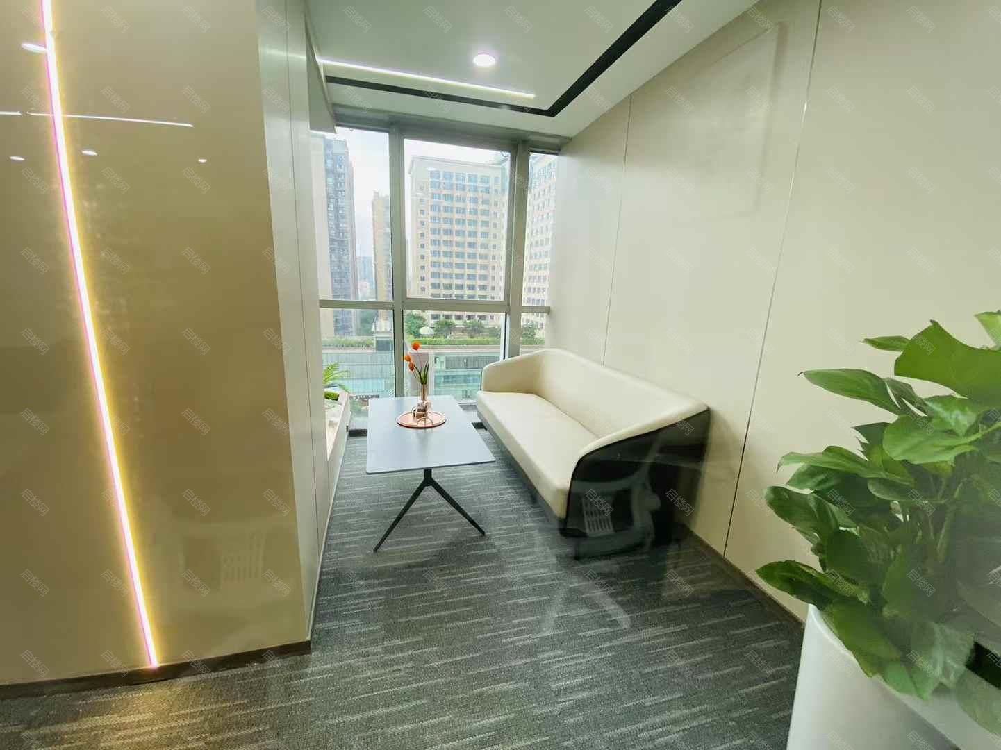 实拍图