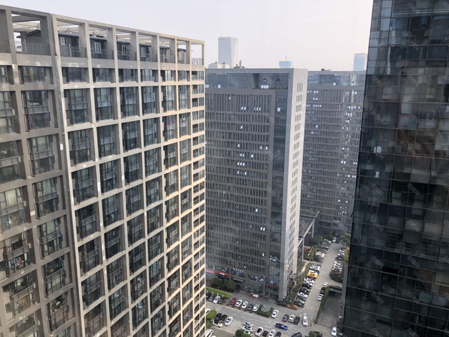 实拍图