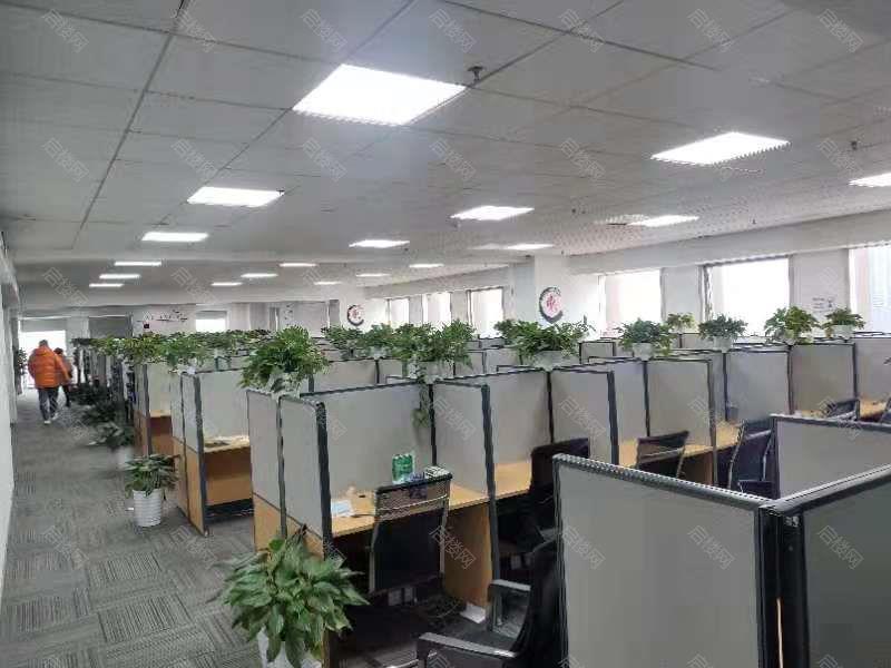 实拍图