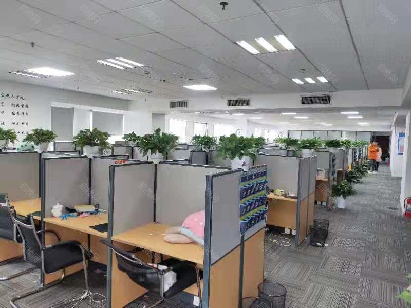 实拍图