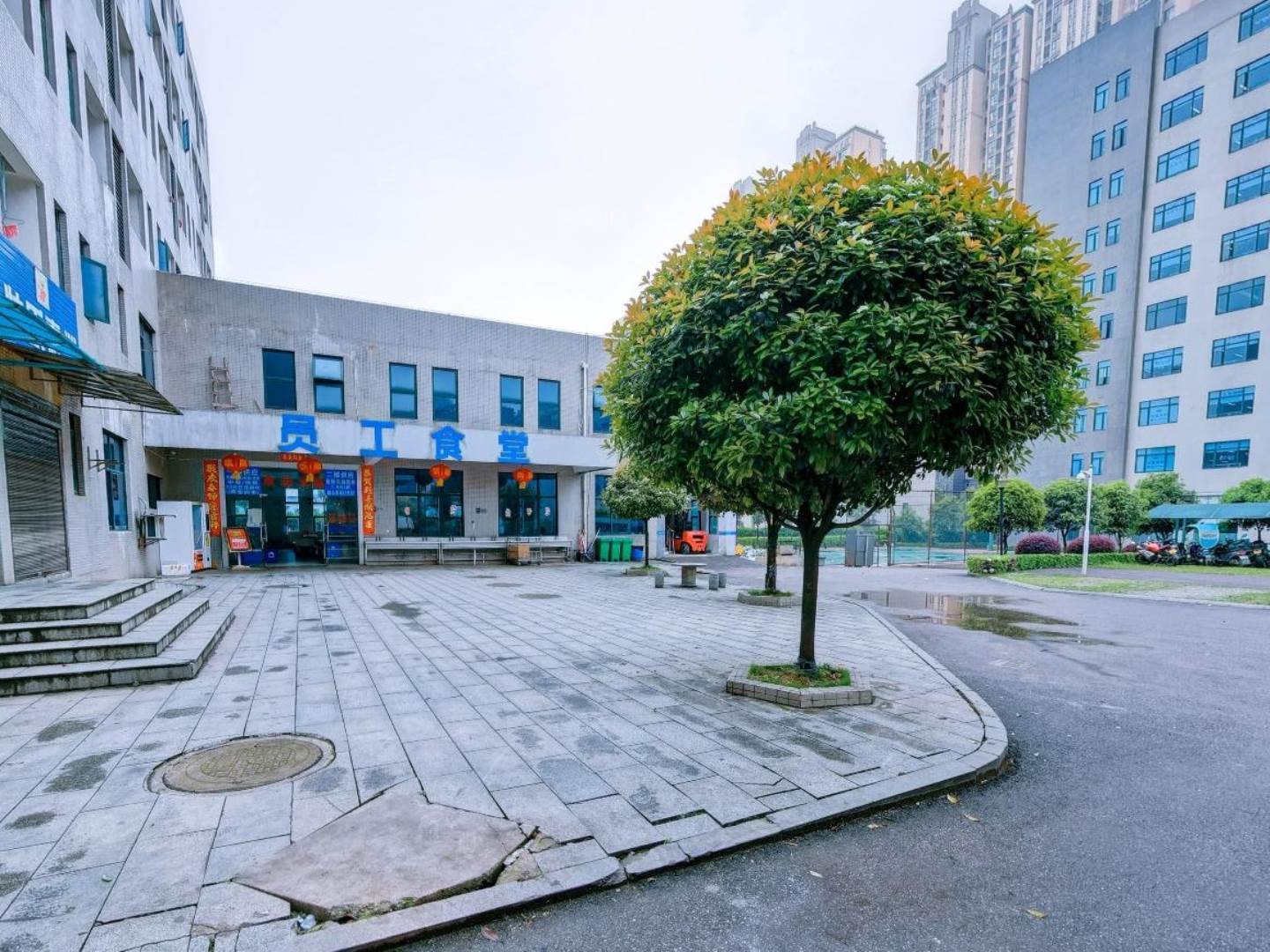 实景图